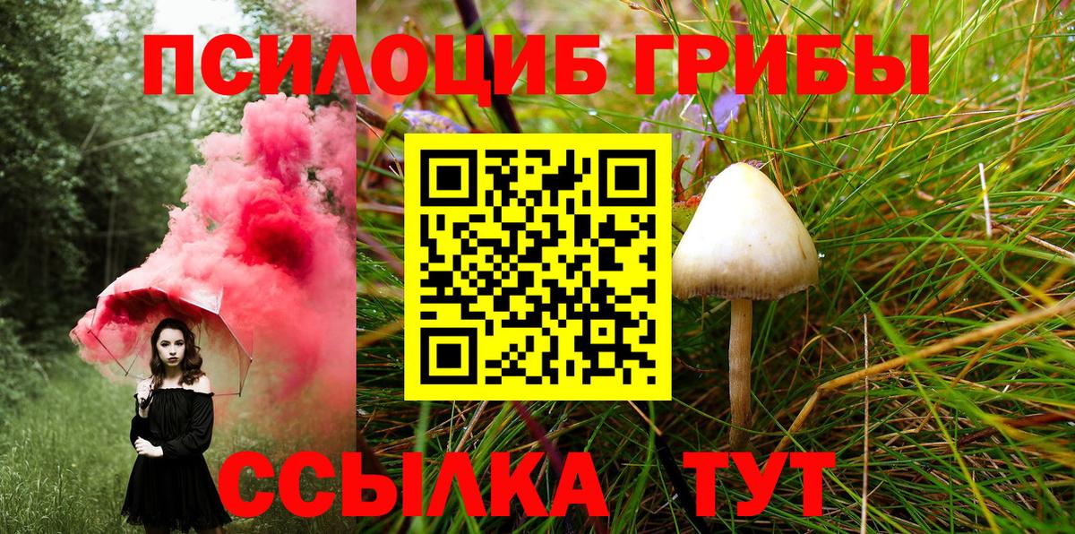 Долгопрудный  Псилоцибиновые грибы ЛСД  Галлюциногенные грибы Psilocybine cubensis  Вход с VPN 